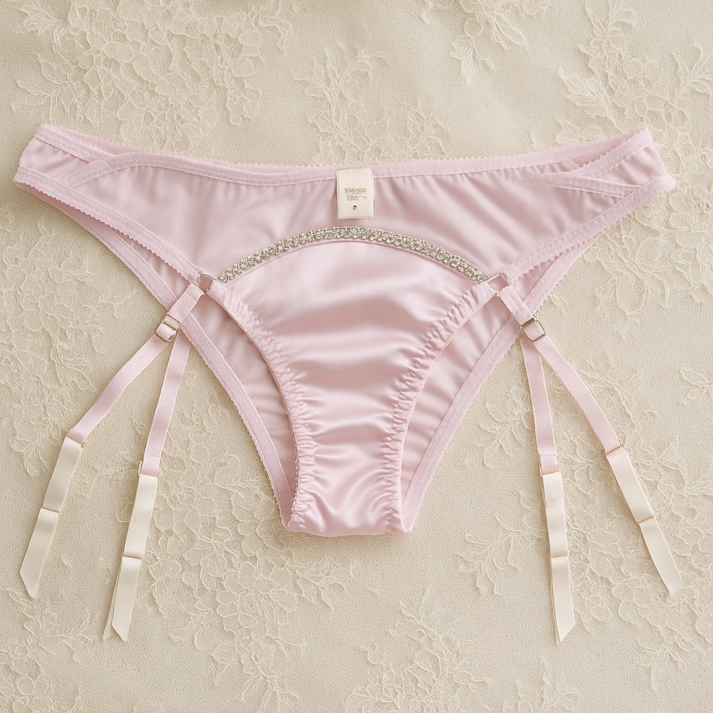 Victoria’s Secret Pink Satin Garter Belt Panty | Vintage 2013 | NWT | Small